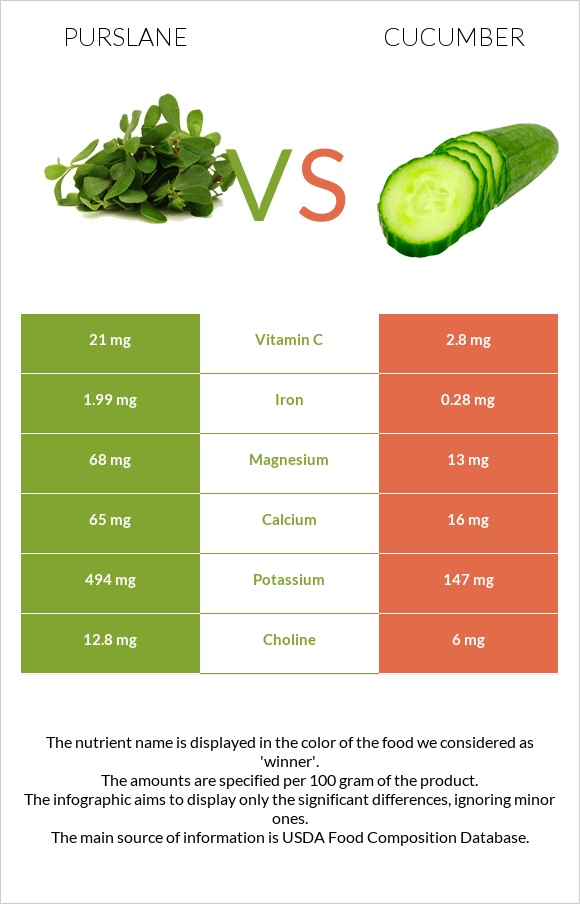 Purslane vs Cucumber infographic