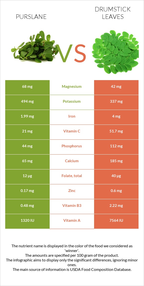 Purslane vs Drumstick leaves infographic