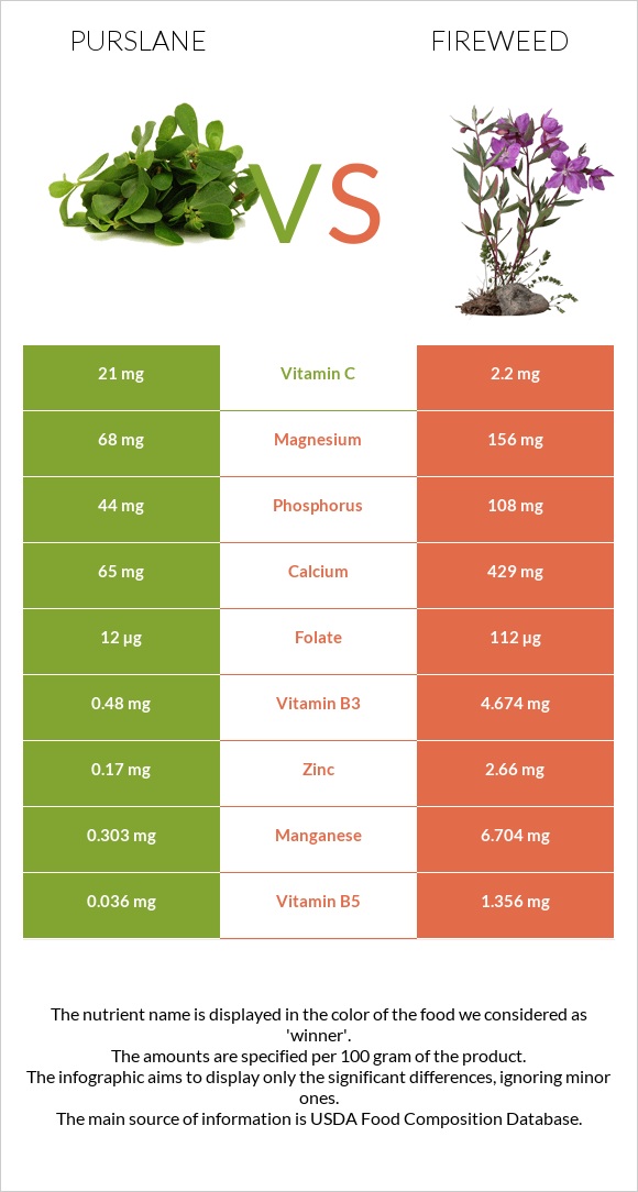 Purslane vs Fireweed infographic