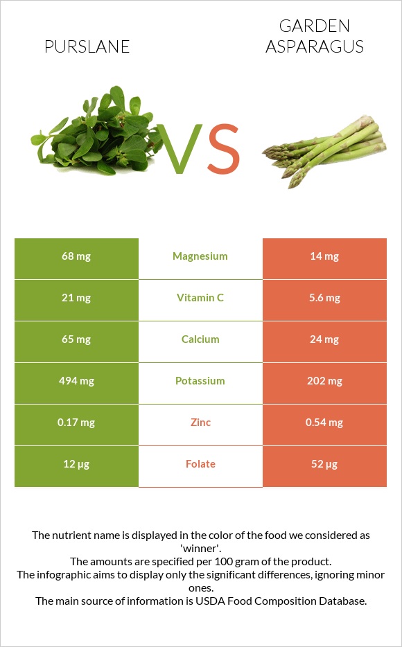 Purslane vs Garden asparagus infographic