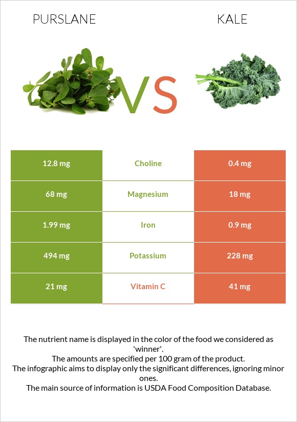 Purslane vs Kale infographic