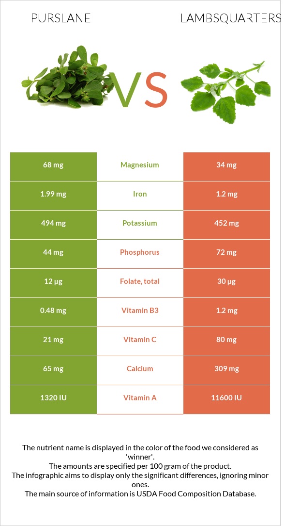 Purslane vs Lambsquarters infographic