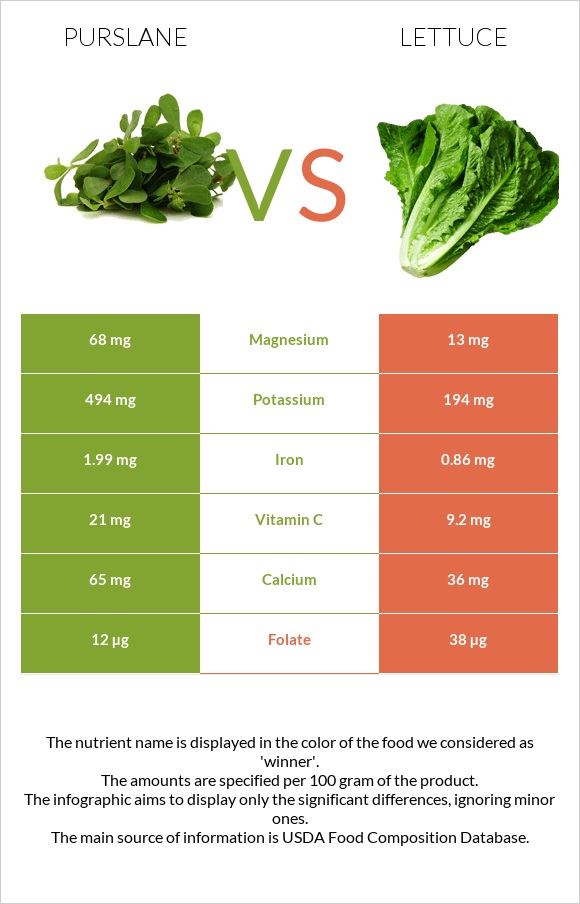 Purslane vs Lettuce infographic