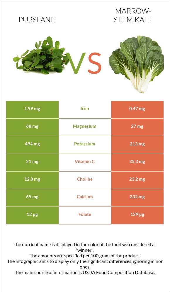 Purslane vs Marrow-stem Kale infographic