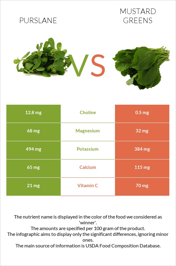 Purslane vs Mustard Greens infographic