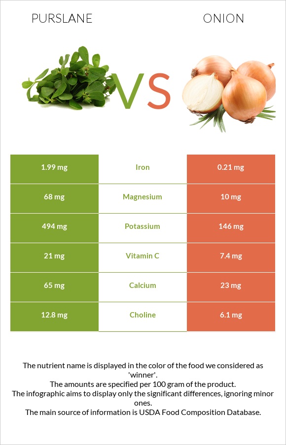 Purslane vs Onion infographic