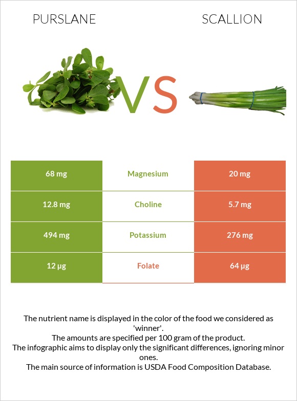 Purslane vs Կանաչ սոխ infographic