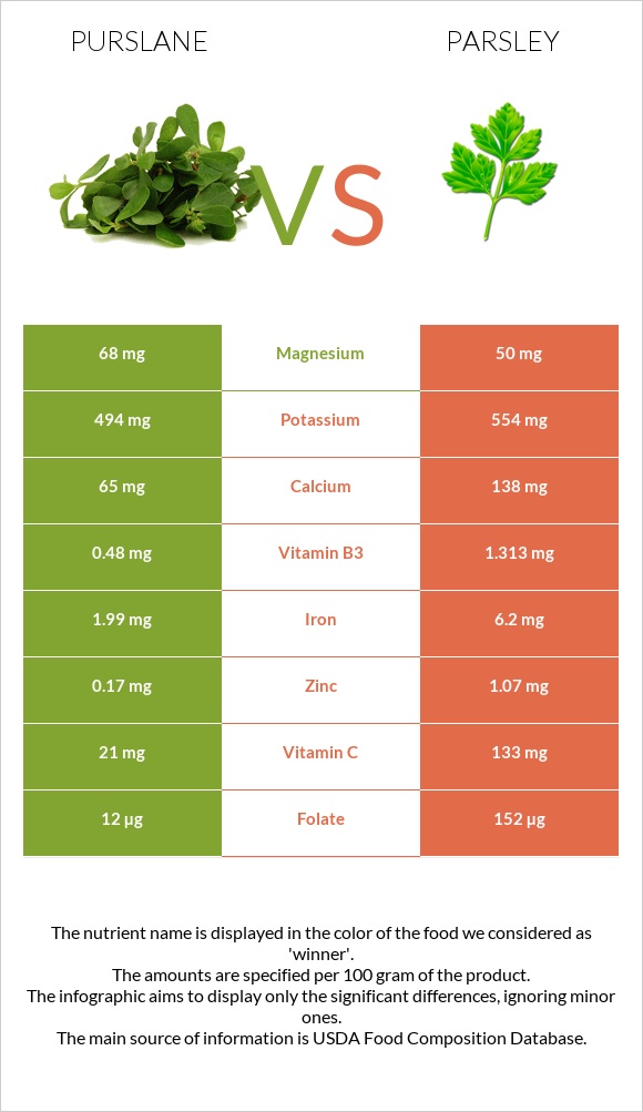 Purslane vs Parsley infographic