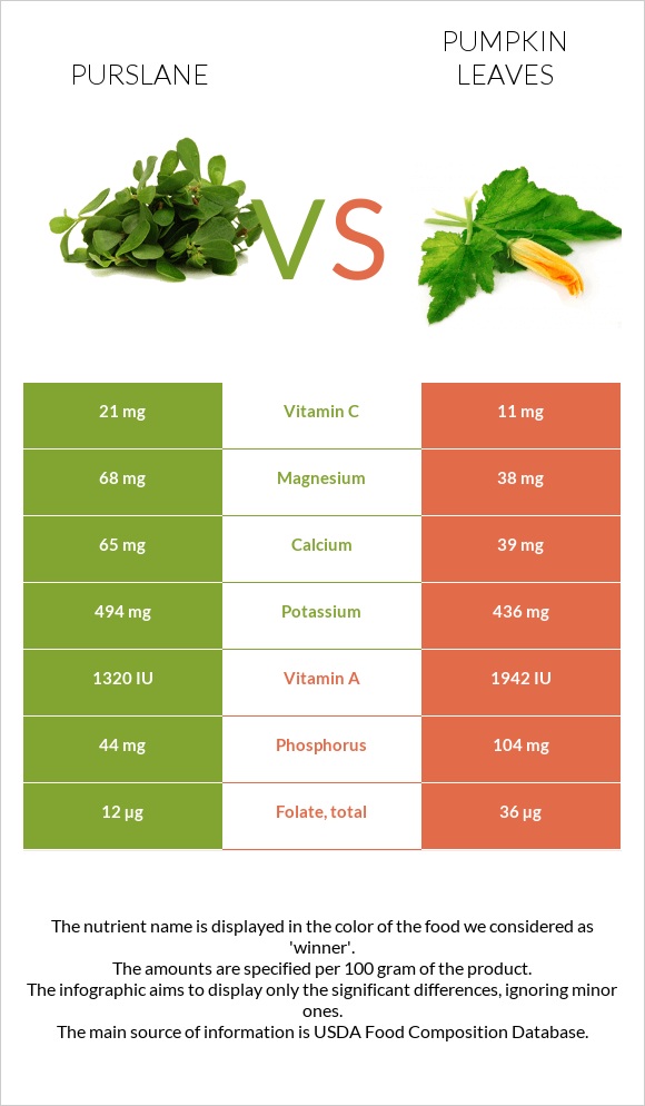 Purslane vs Pumpkin leaves infographic