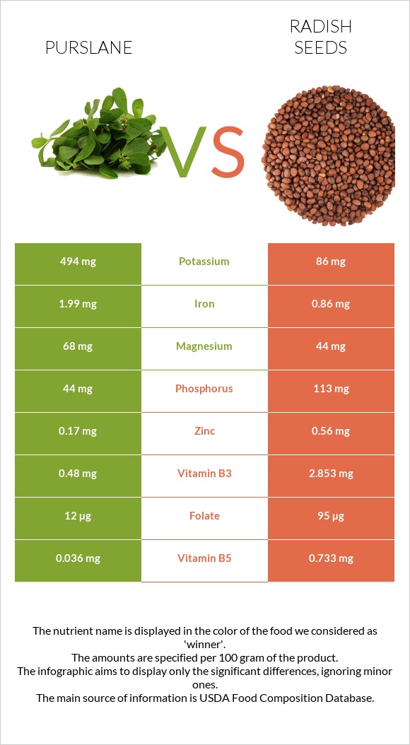 Purslane vs Radish seeds infographic