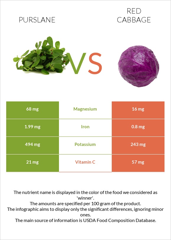 Purslane vs Red cabbage infographic