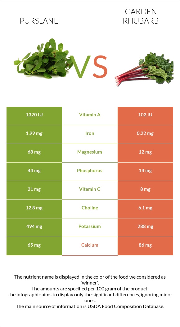 Purslane vs Garden rhubarb infographic