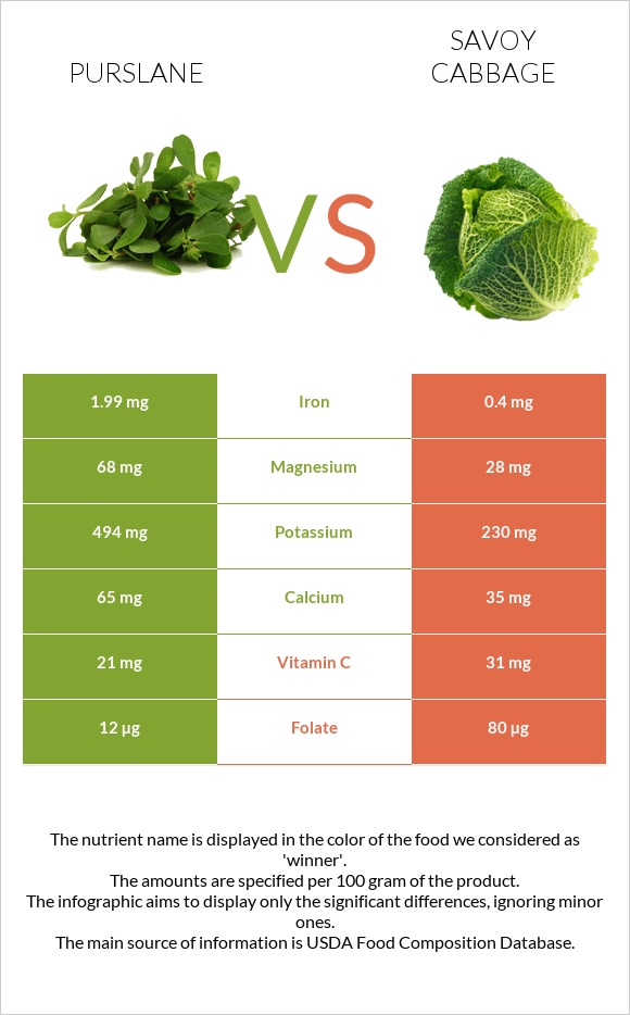 Purslane vs Savoy cabbage infographic
