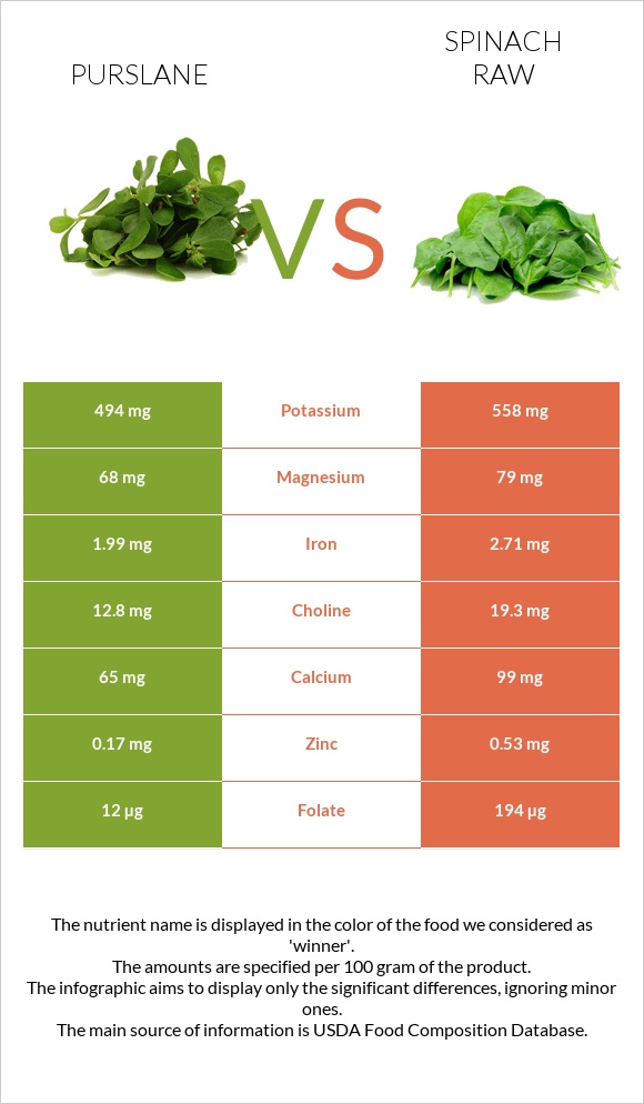 Purslane vs Spinach raw infographic