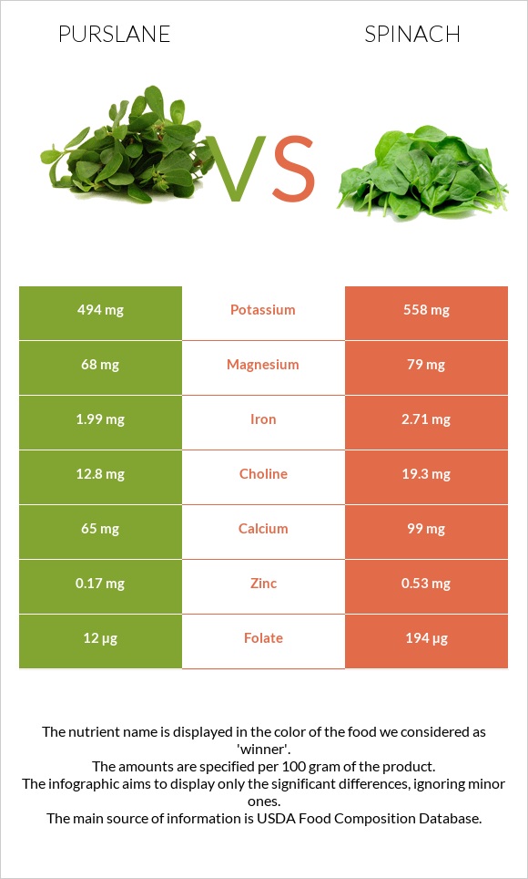 Purslane vs Spinach infographic