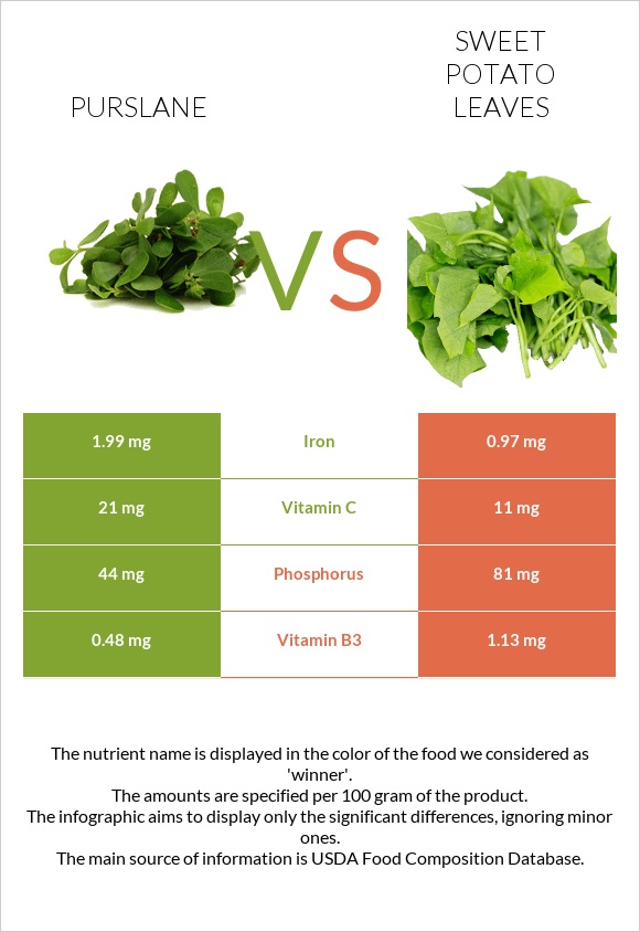 Purslane vs Sweet potato leaves infographic