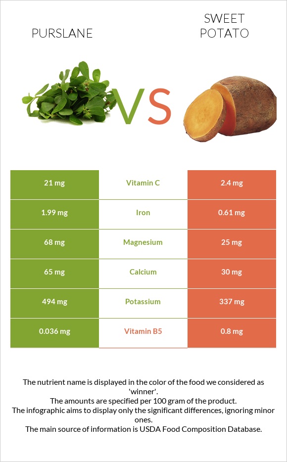 Purslane vs Sweet potato infographic