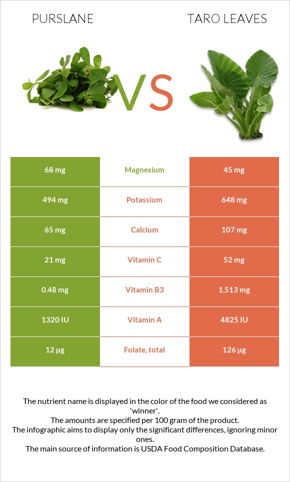 Purslane vs Taro leaves infographic