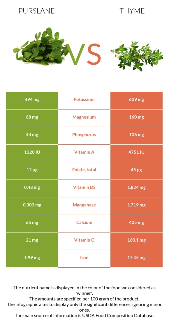 Purslane vs Thyme infographic