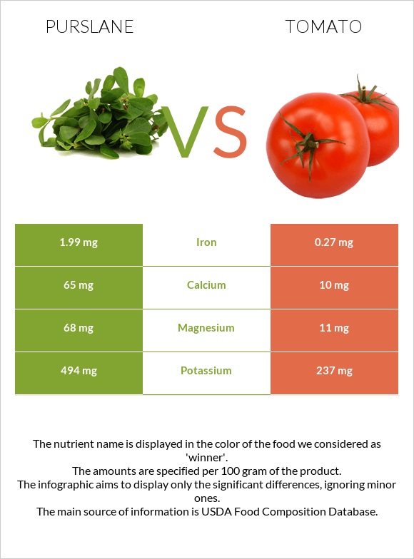 Purslane vs Tomato infographic