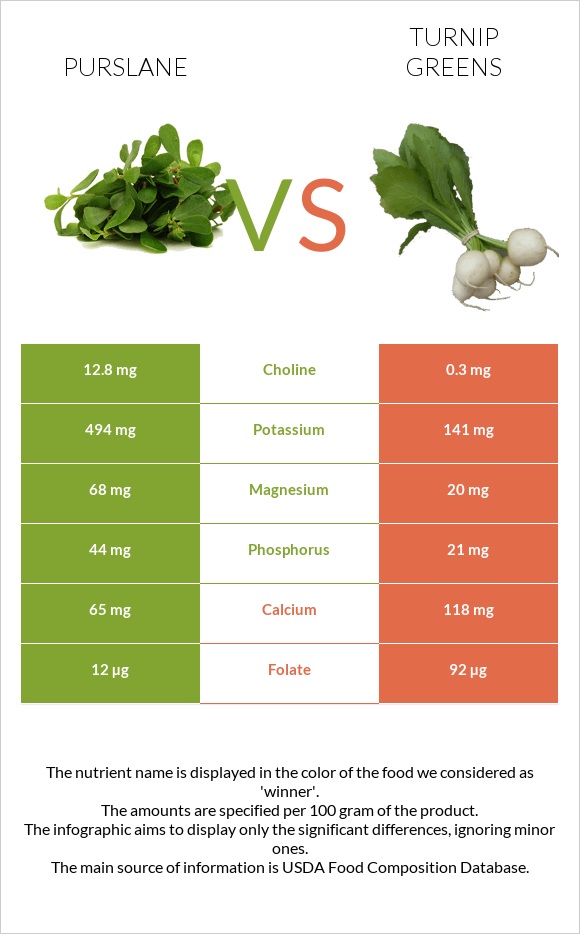Purslane vs Turnip greens infographic