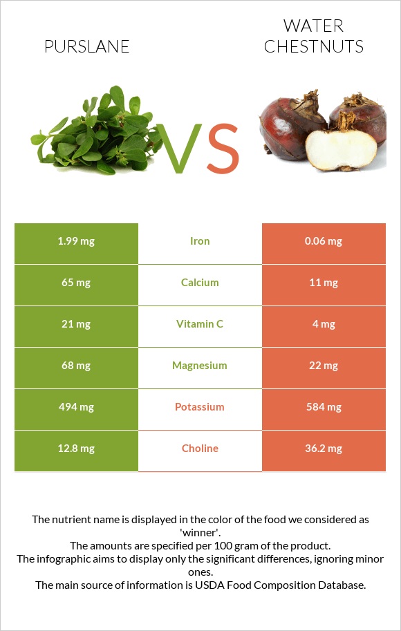 Purslane vs Water chestnuts infographic