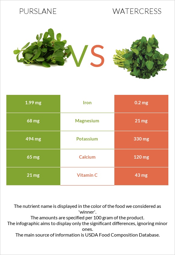 Purslane vs Watercress infographic