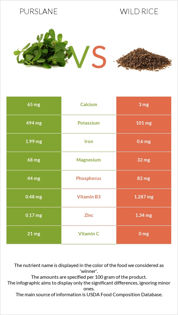 Purslane vs Վայրի բրինձ infographic