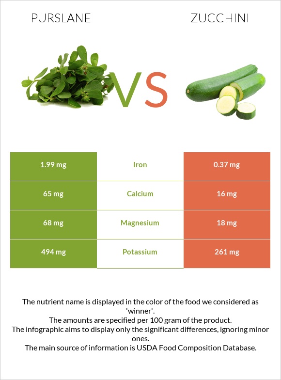Purslane vs Zucchini infographic