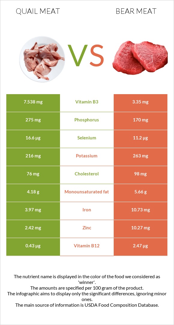 Լորի միս vs Bear meat infographic