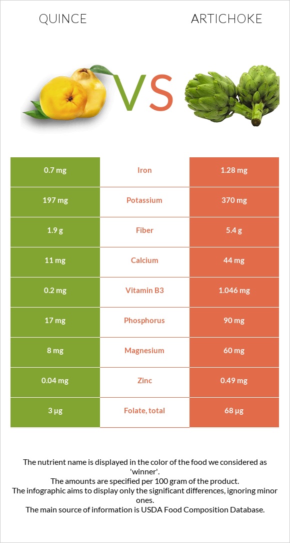 Quince vs Artichoke infographic