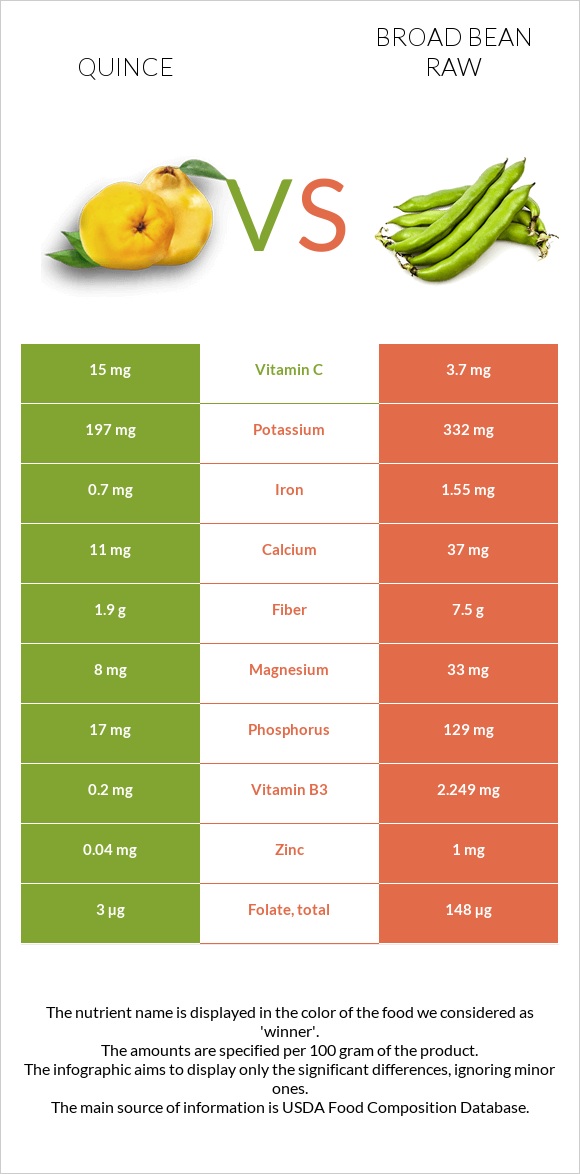 Quince vs Broad bean raw infographic