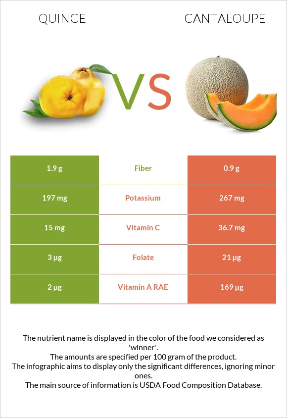 Quince vs Cantaloupe infographic