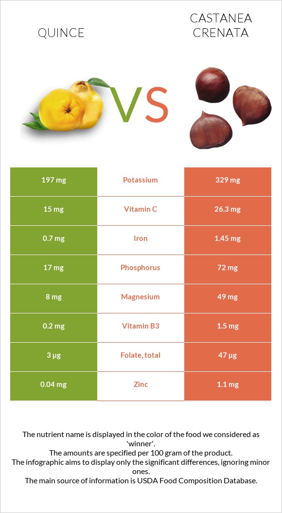 Quince vs Castanea crenata infographic