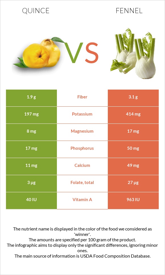 Սերկևիլ vs Ֆենխել infographic