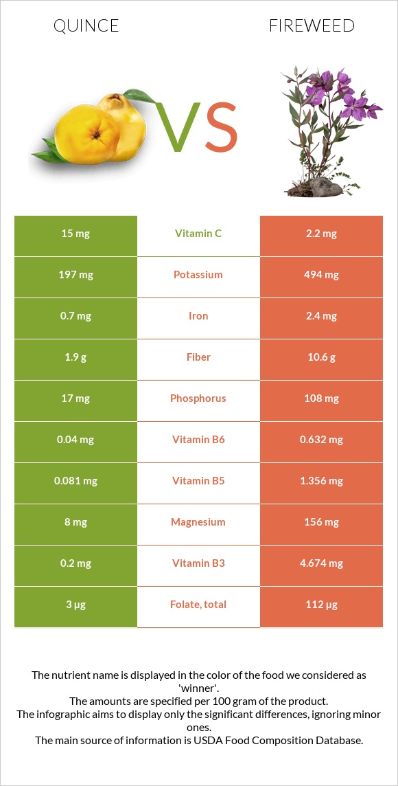 Quince vs Fireweed infographic