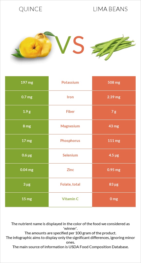 Quince vs Lima bean infographic