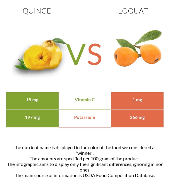 Quince vs Loquat infographic