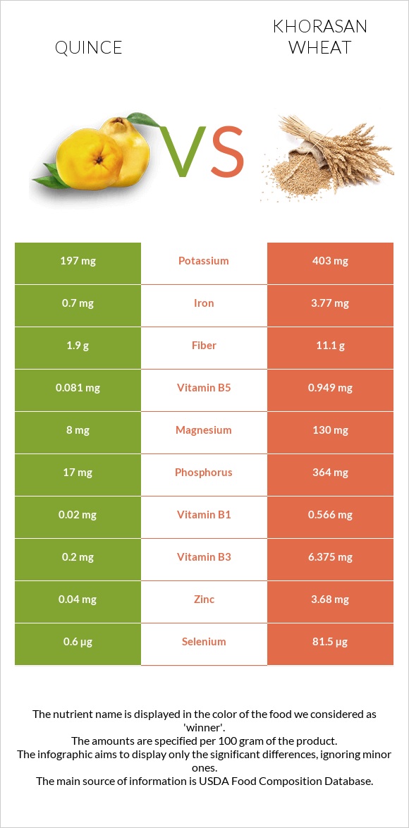 Quince vs Khorasan wheat infographic