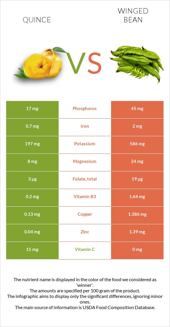 Սերկևիլ vs Թևաոր լոբի infographic