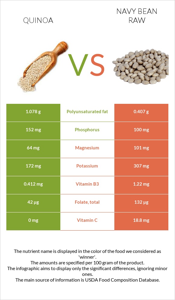 Quinoa vs Navy bean raw infographic