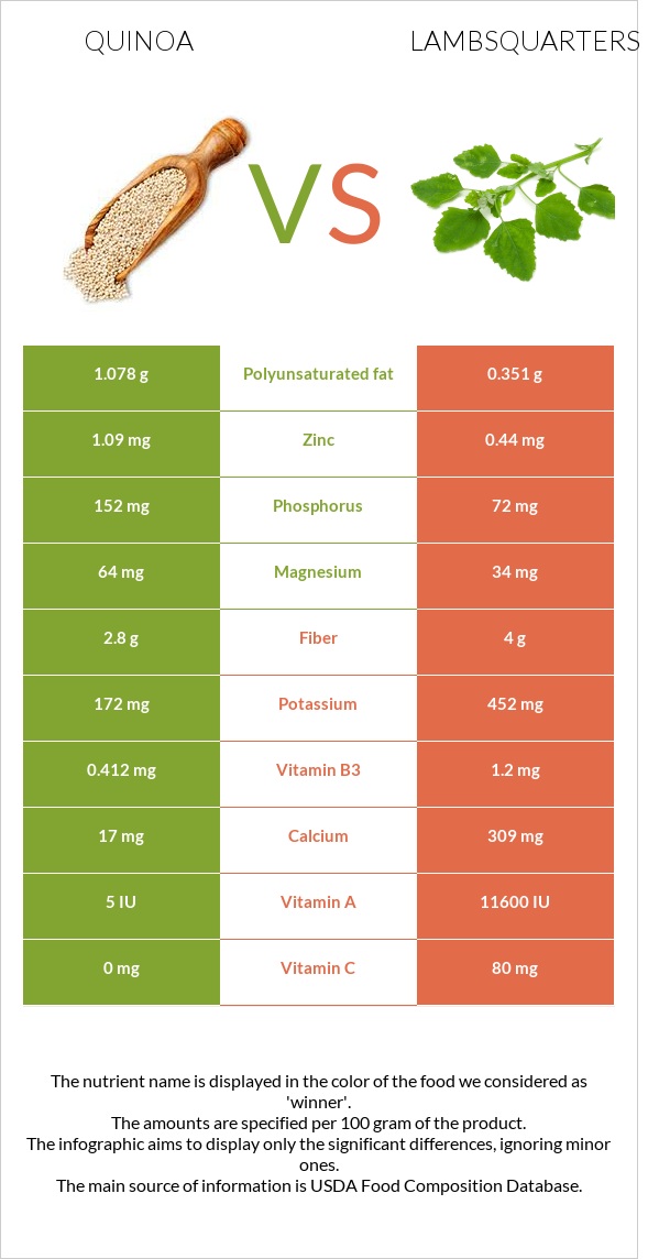 Սագախոտ (Քինոա) vs Lambsquarters infographic