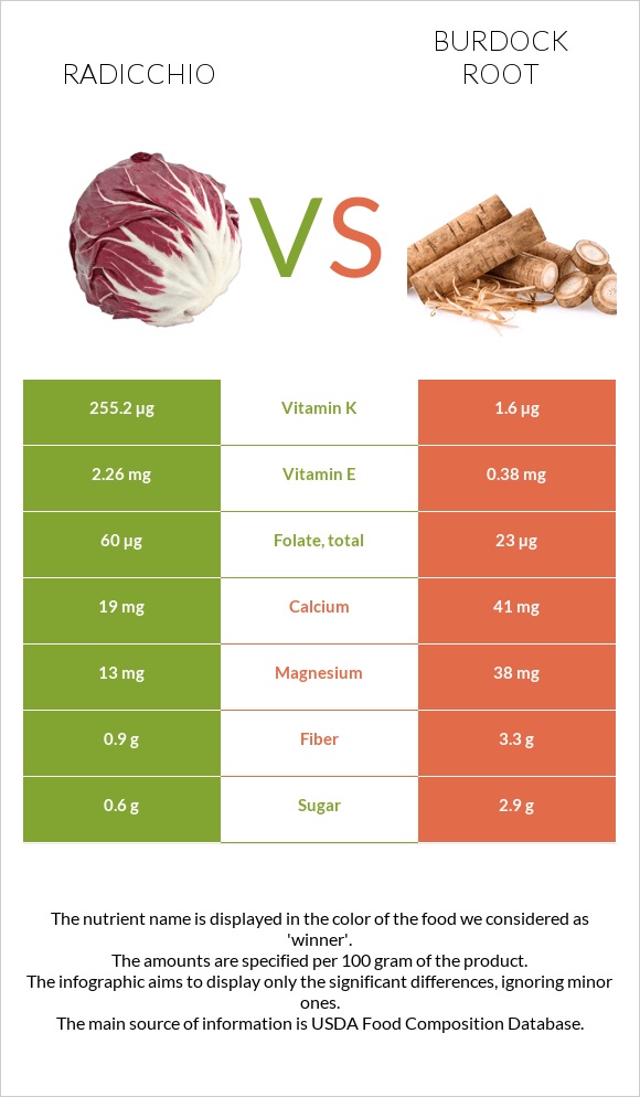 Radicchio vs Կռատուկի արմատ (արկտի արմատ) infographic