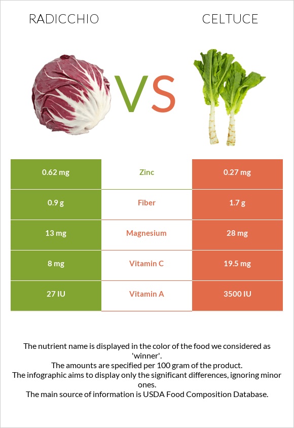 Radicchio vs Celtuce infographic