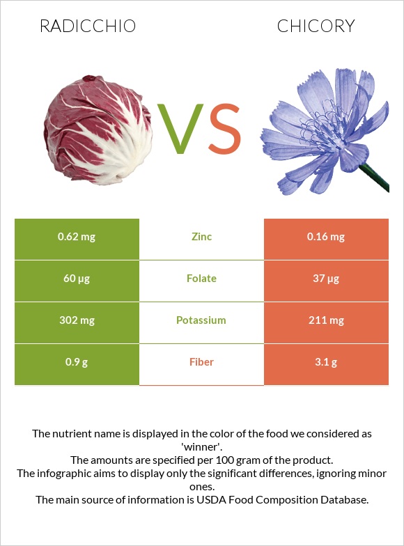 Radicchio vs Chicory infographic