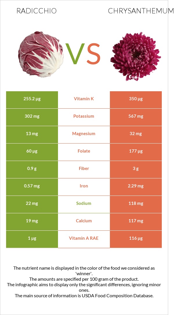 Radicchio vs Chrysanthemum infographic