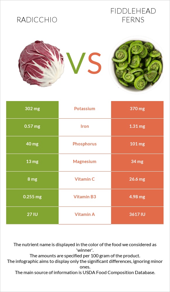 Radicchio vs Fiddlehead ferns infographic