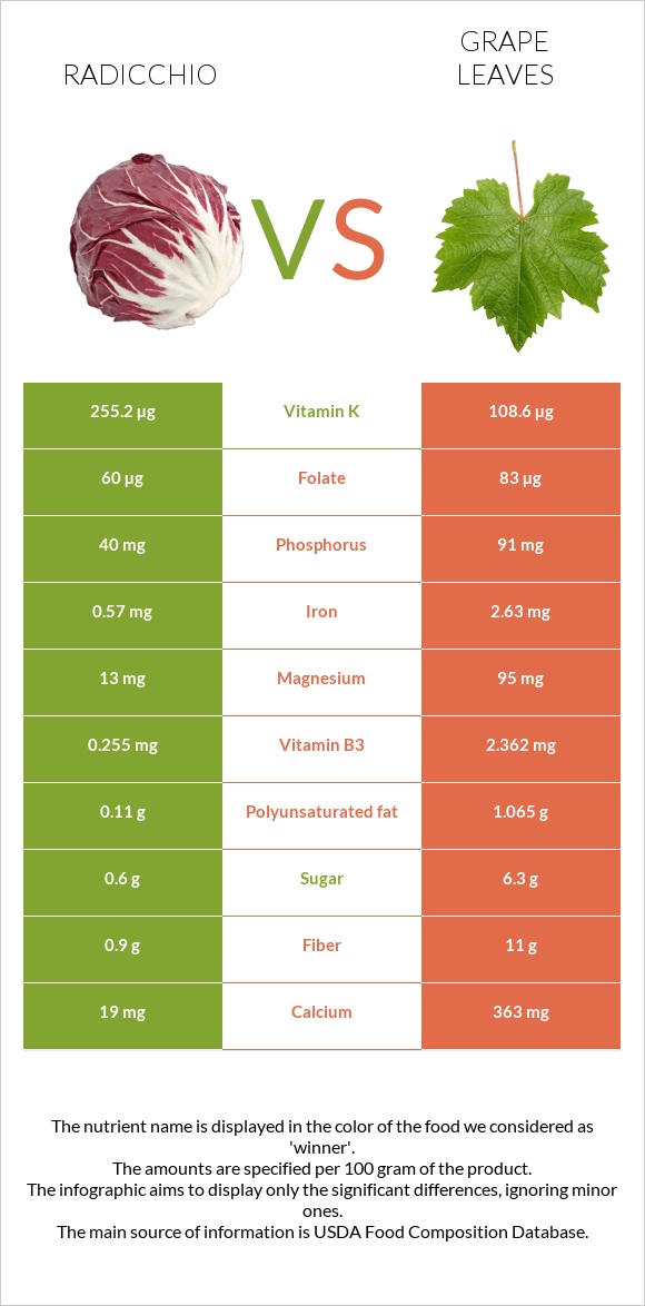 Radicchio vs Grape leaves infographic