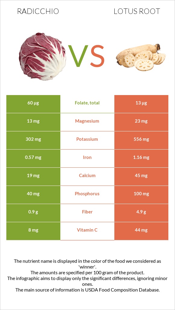 Radicchio vs Lotus root infographic