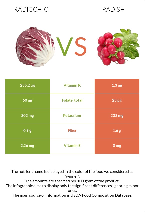 Radicchio vs Radish infographic